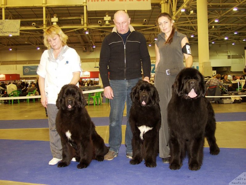 Фото: Рона (слева), Фугас (в центре), Виннер (справа)