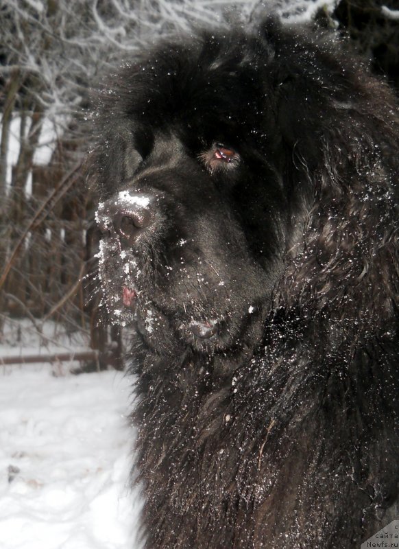 Фотография № 141291