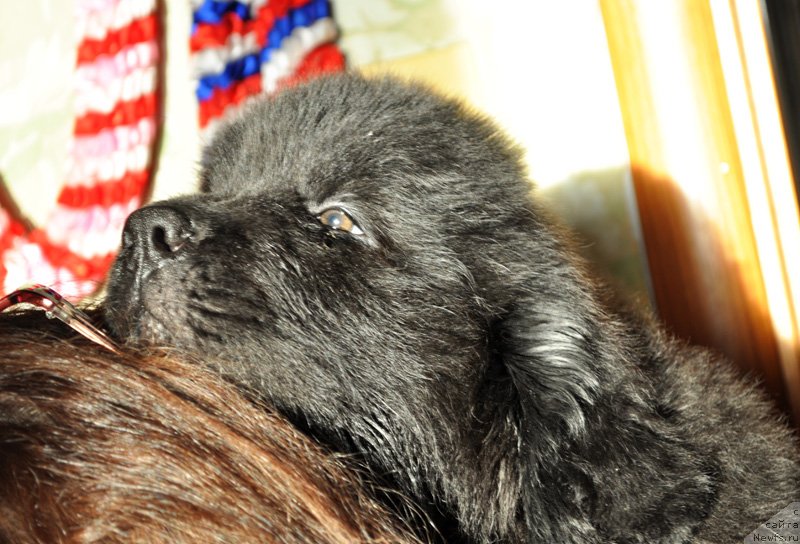 Фото: Бегущая по волнам Ретён ов зе Квин