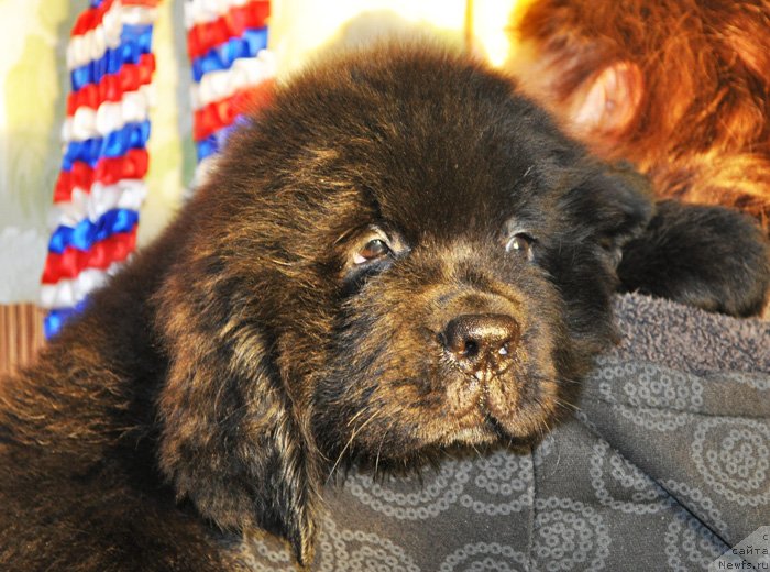 Фото: Бегущая по волнам Ретён ов зе Квин