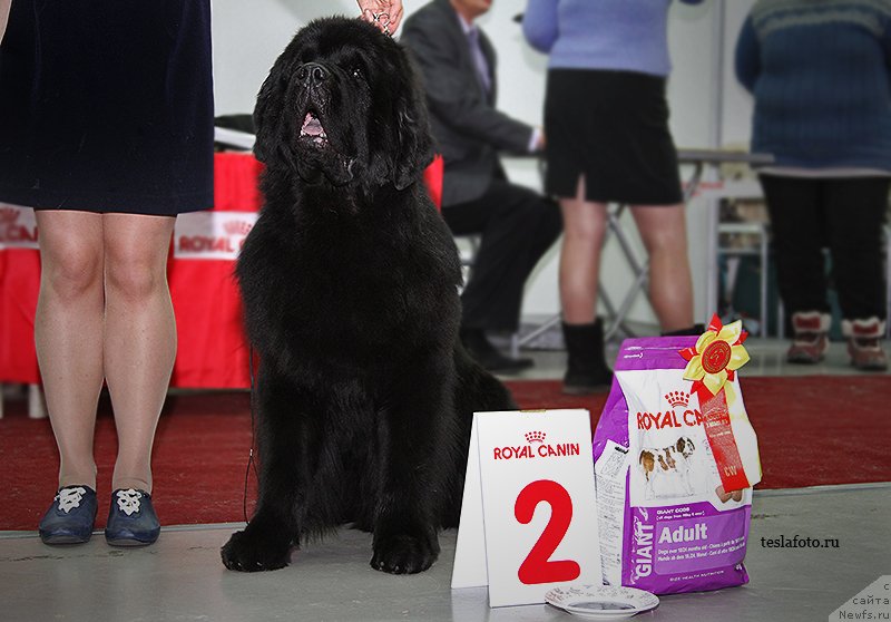 Фотография № 141359