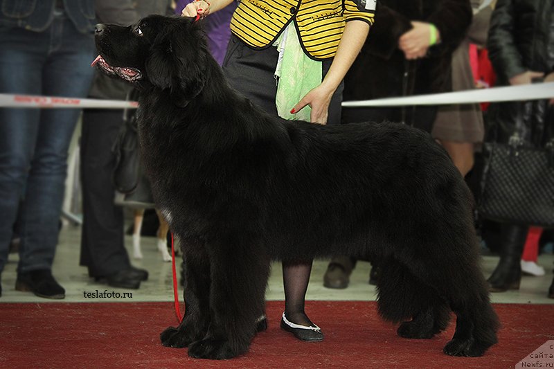 Фотография № 141361