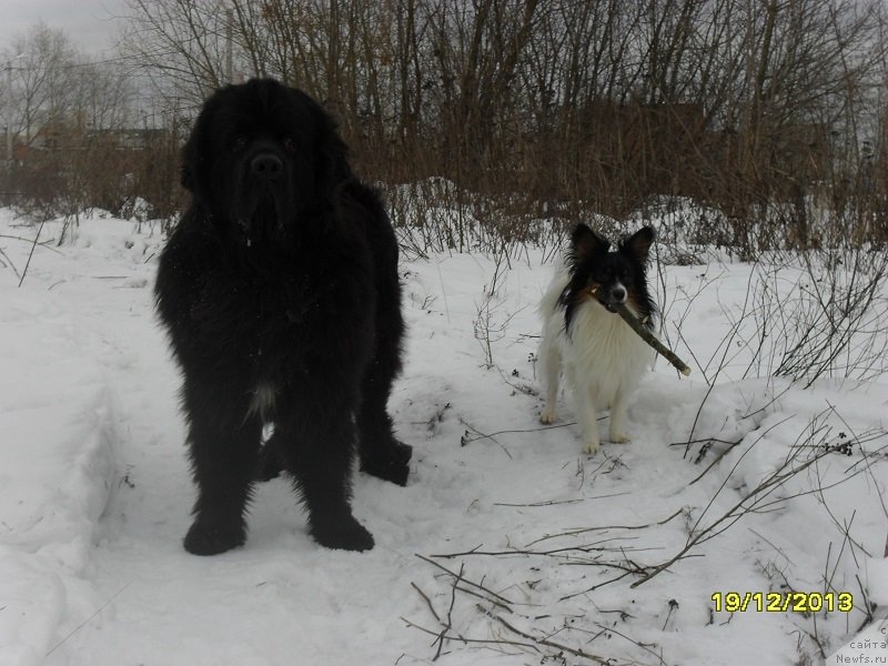 Фотография № 141367