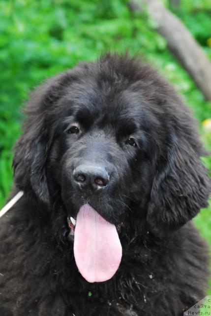 Фотография № 14139