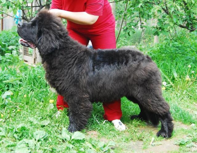 Фотография № 14140