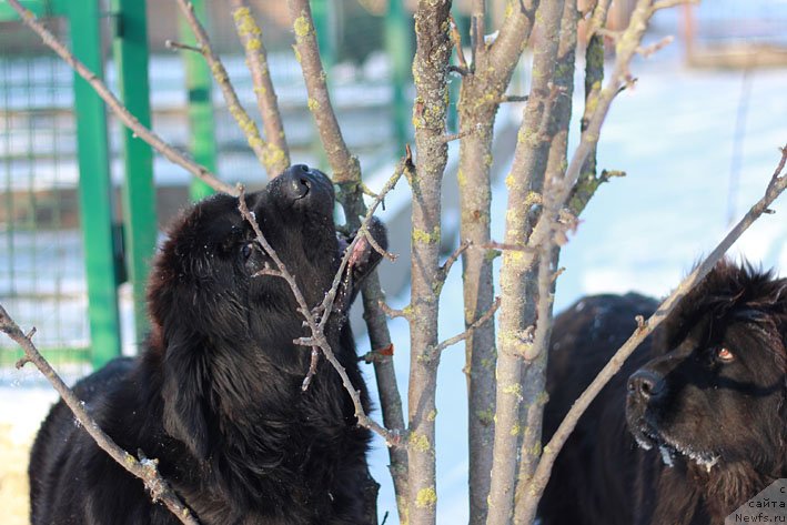 Фотография № 141405