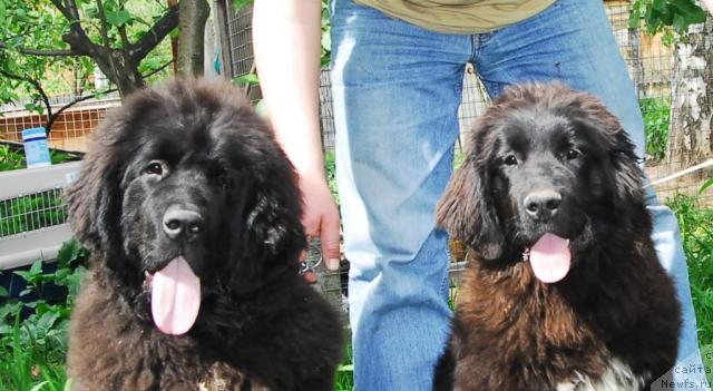 Фотография № 14142