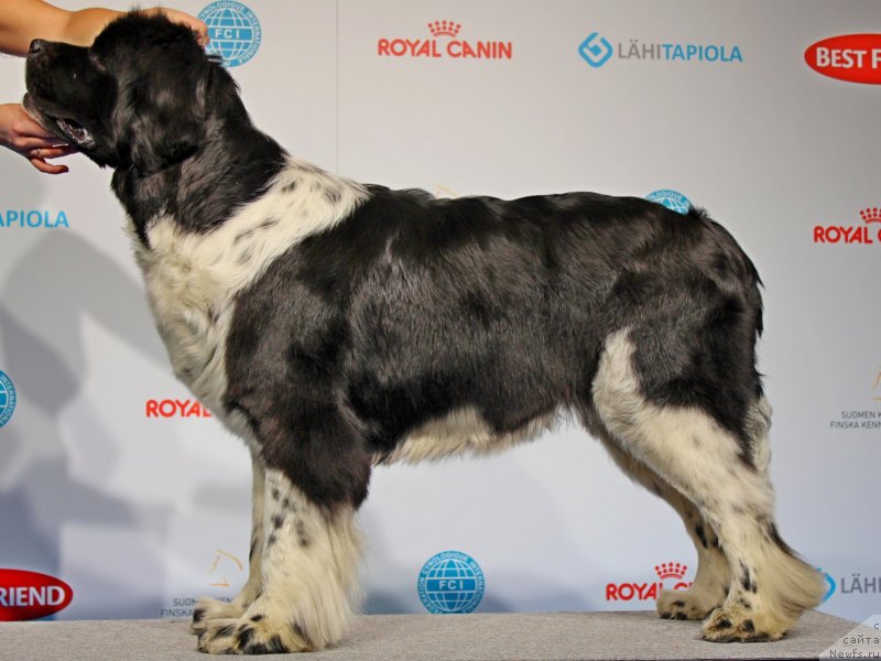 Фотография № 141431