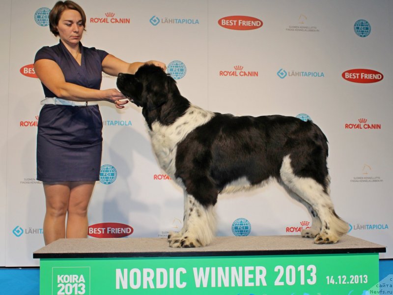 Фотография № 141432