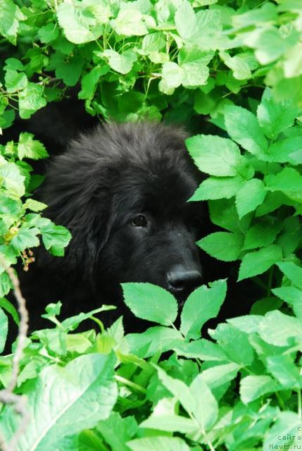 Фотография № 14146