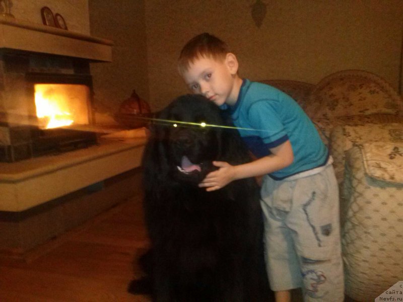 Фотография № 141465