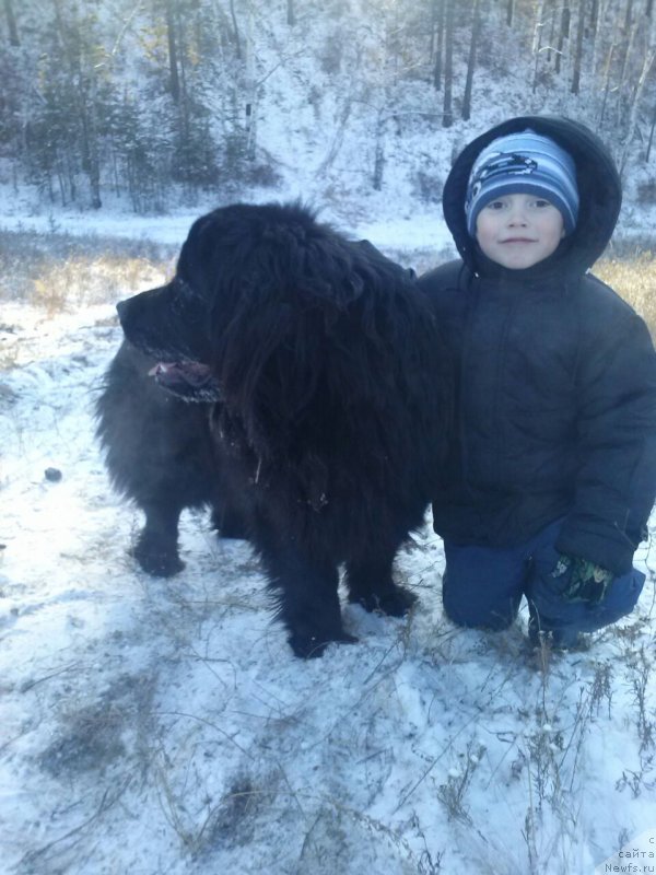 Фотография № 141467