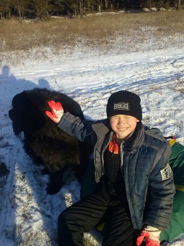 Фотография № 141468