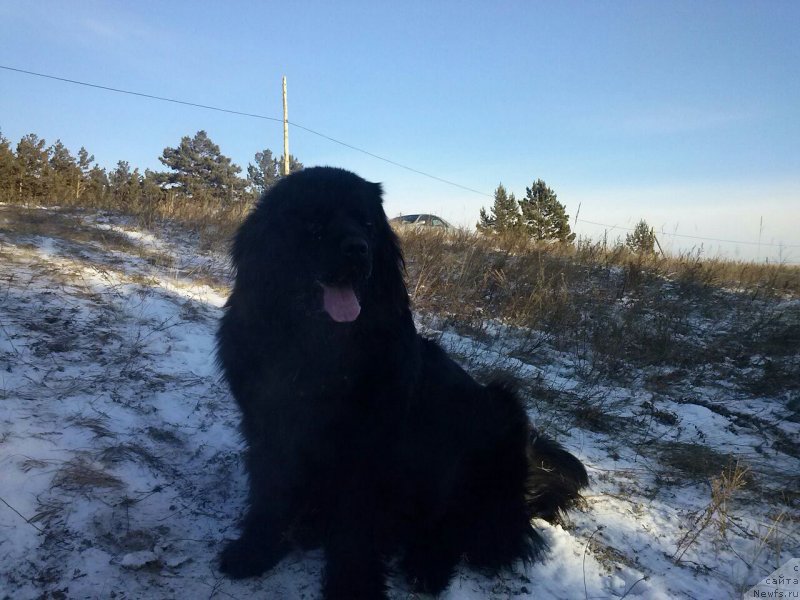 Фотография № 141469