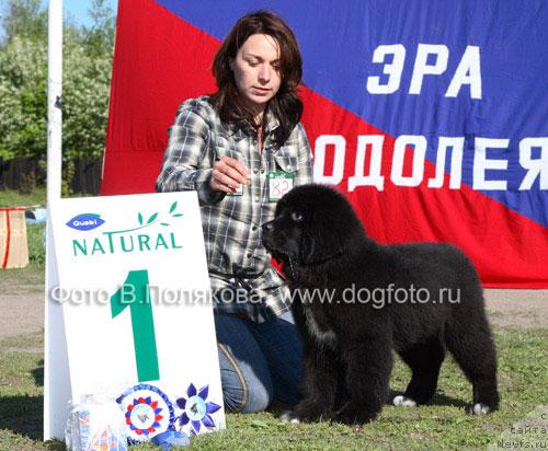 Фотография № 14149