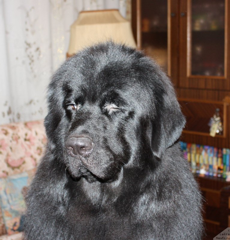 Фотография № 141499