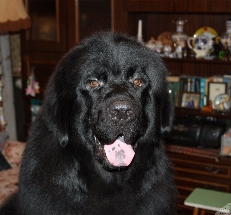 Фотография № 141500