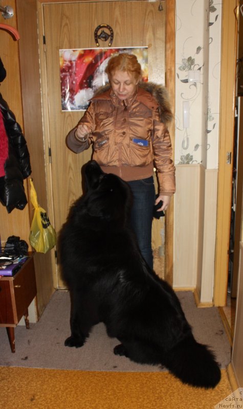 Фотография № 141502