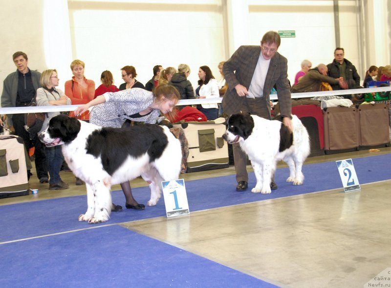 Фотография № 141503