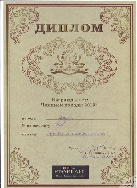 Фотография № 141506