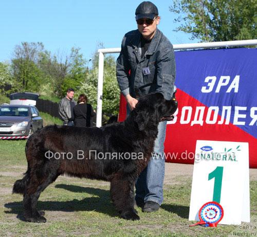 Фотография № 14151