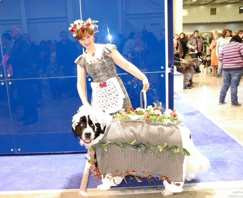 Фотография № 141510