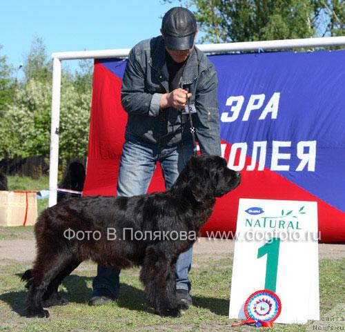 Фотография № 14153