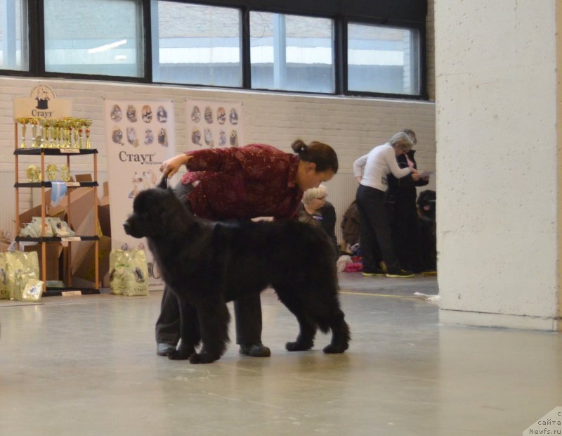 Фотография № 141536