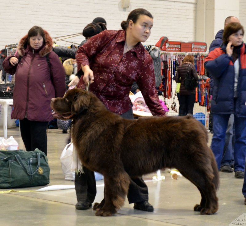 Фотография № 141537