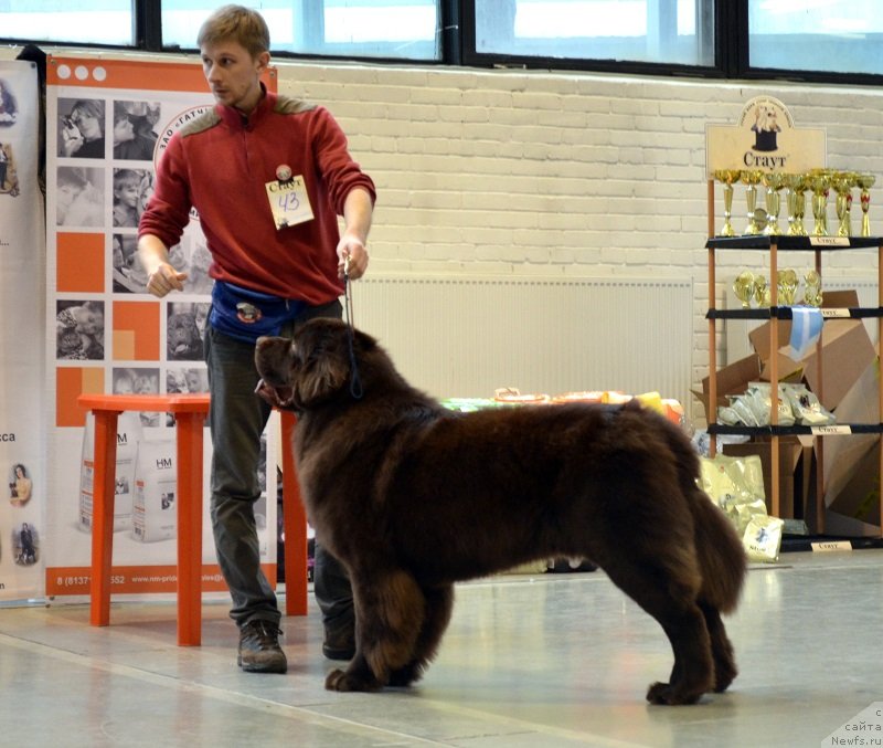 Фотография № 141538