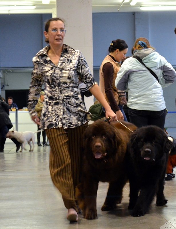 Фотография № 141539