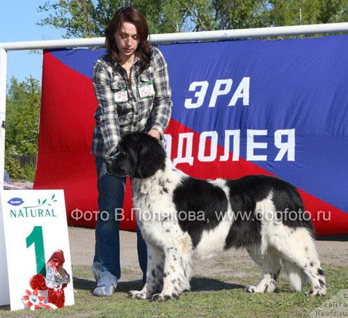 Фотография № 14156