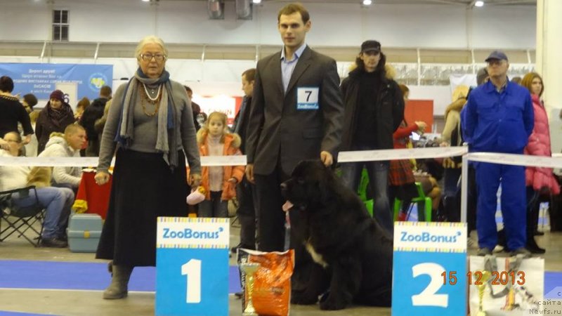 Фотография № 141586