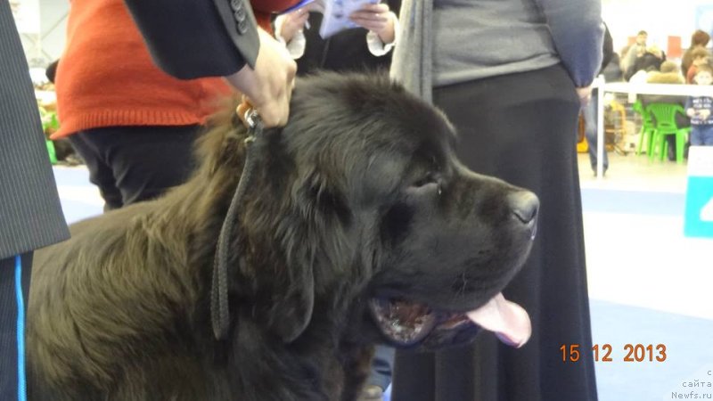 Фотография № 141587