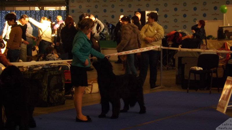 Фотография № 141590