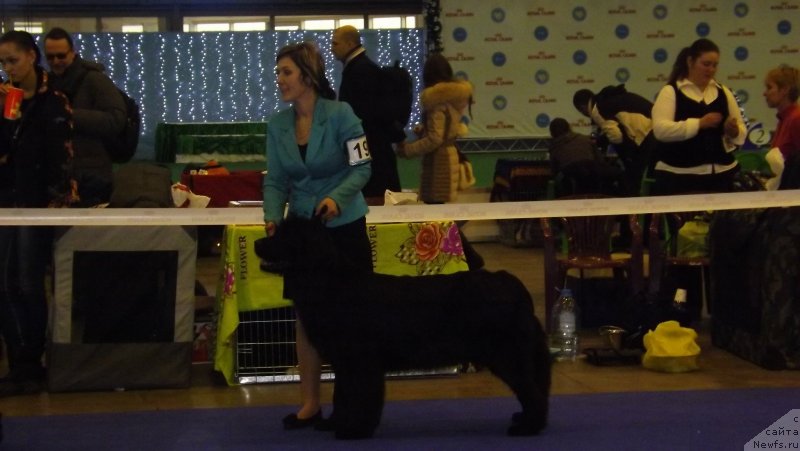 Фотография № 141592