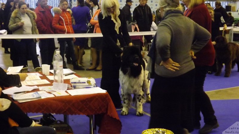 Фотография № 141595