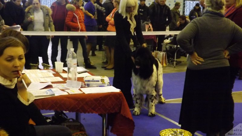 Фотография № 141596