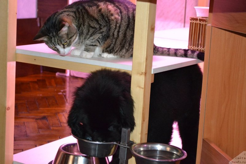 Фотография № 141628