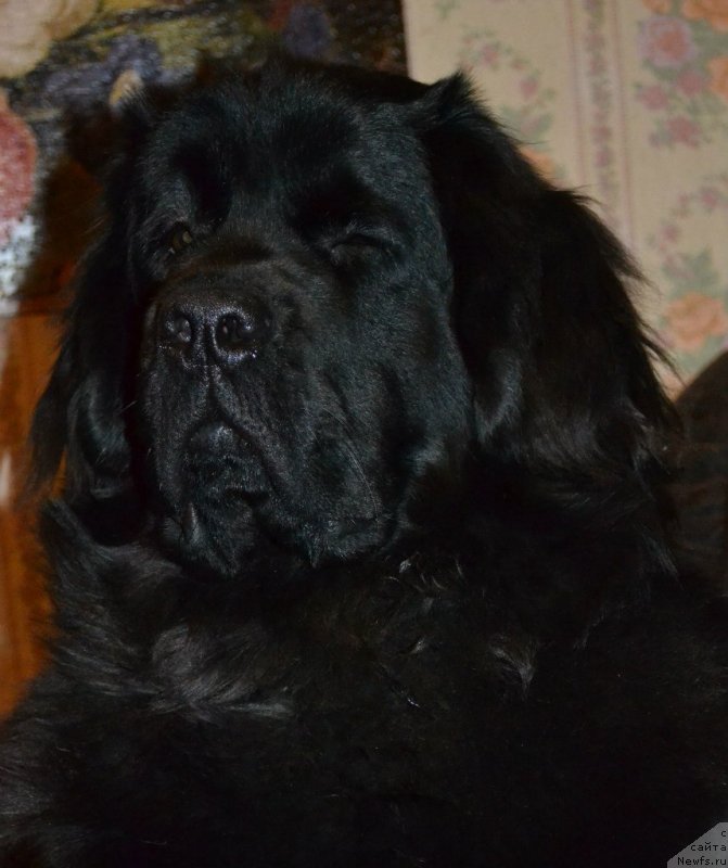 Фотография № 141629