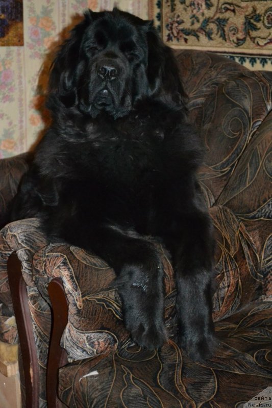 Фотография № 141631