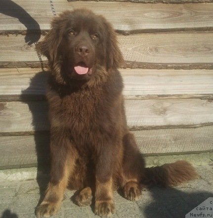 Фотография № 141637