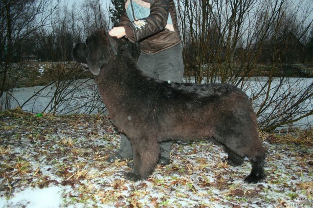 Фотография № 141639