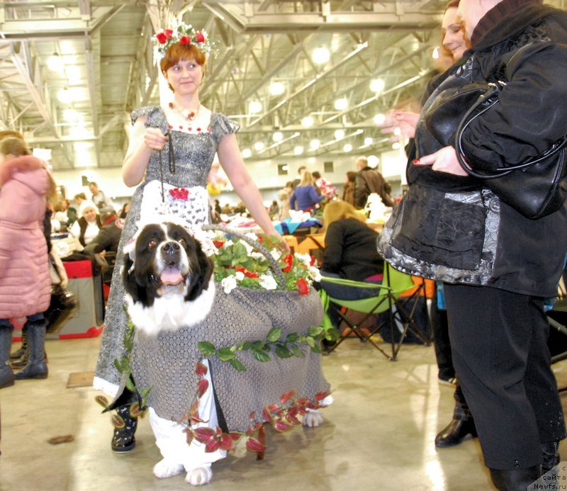 Фотография № 141642