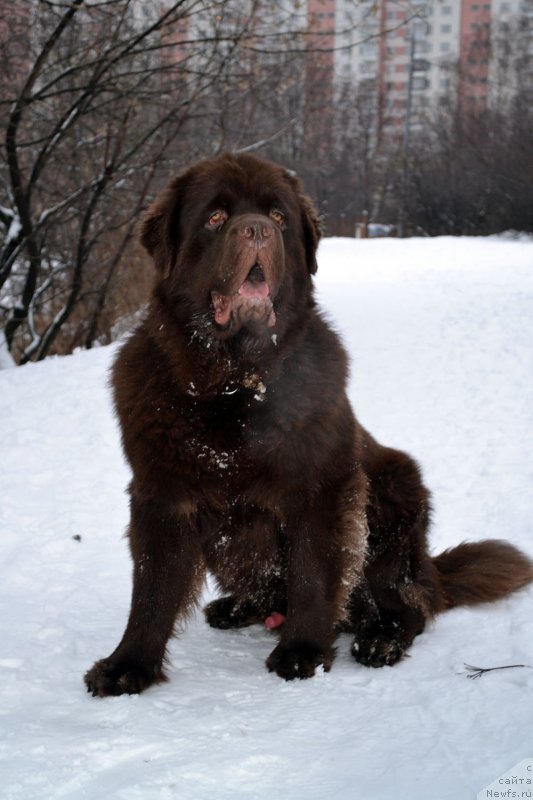 Фотография № 141692