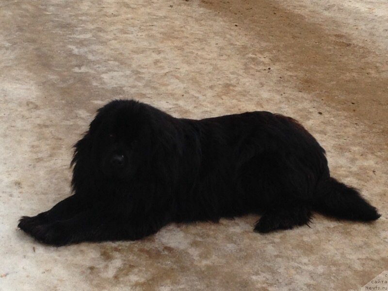 Фотография № 141723