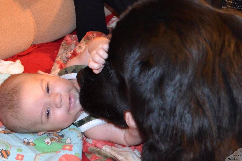 Фотография № 141763