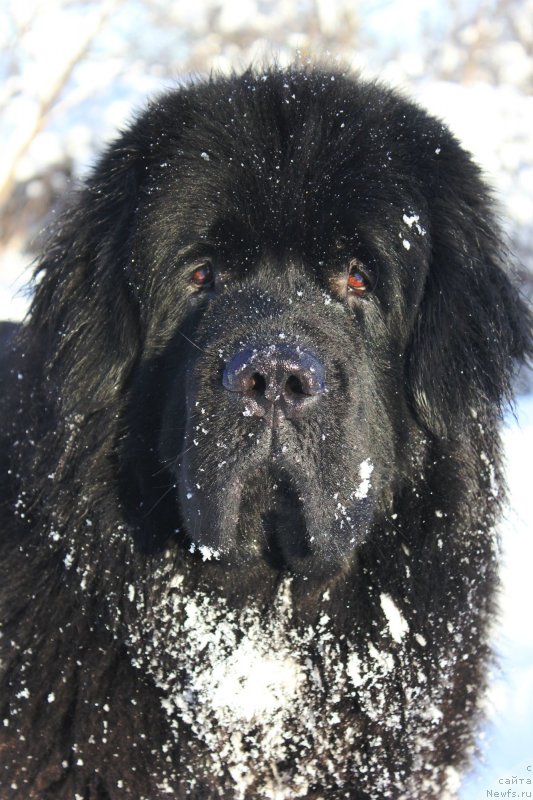 Фотография № 141784