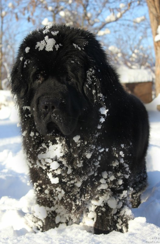 Фотография № 141792