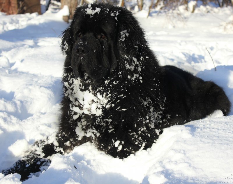 Фотография № 141793